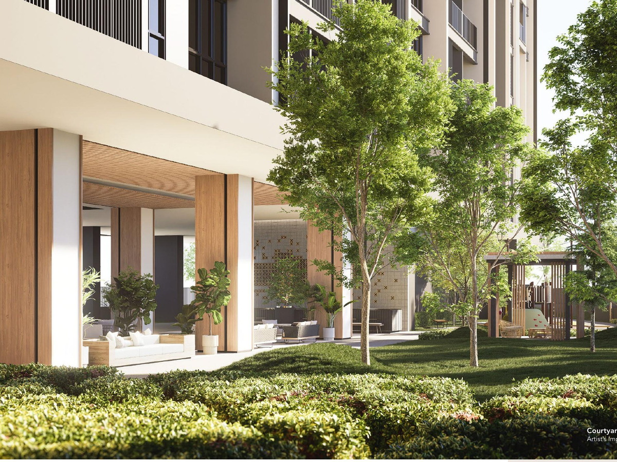 Courtyard garden