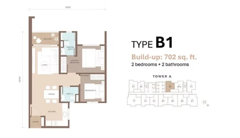 Type B1