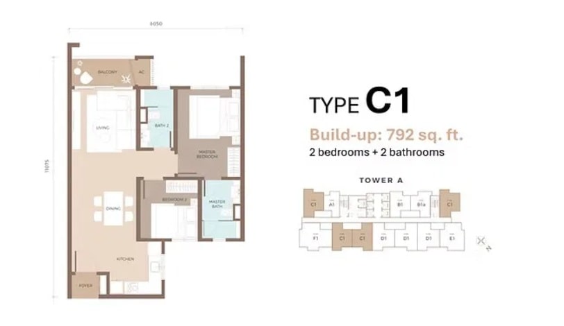 Type C1