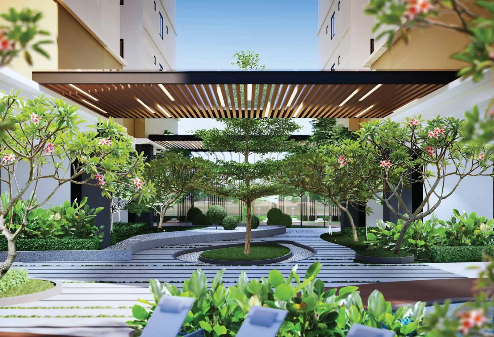 Garden and pergola