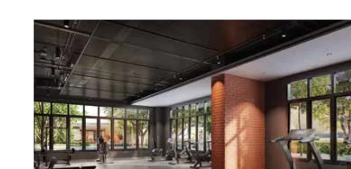 Gym artist impression