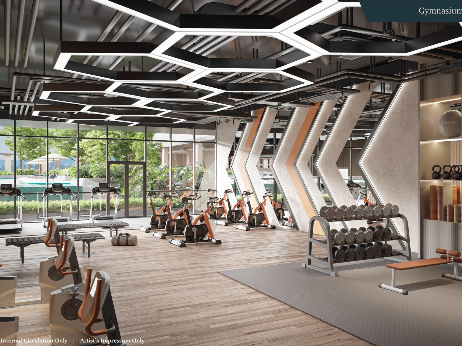 Gymnasium