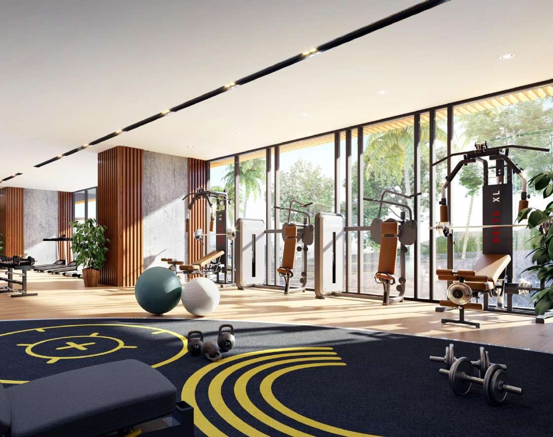 Gymnasium
