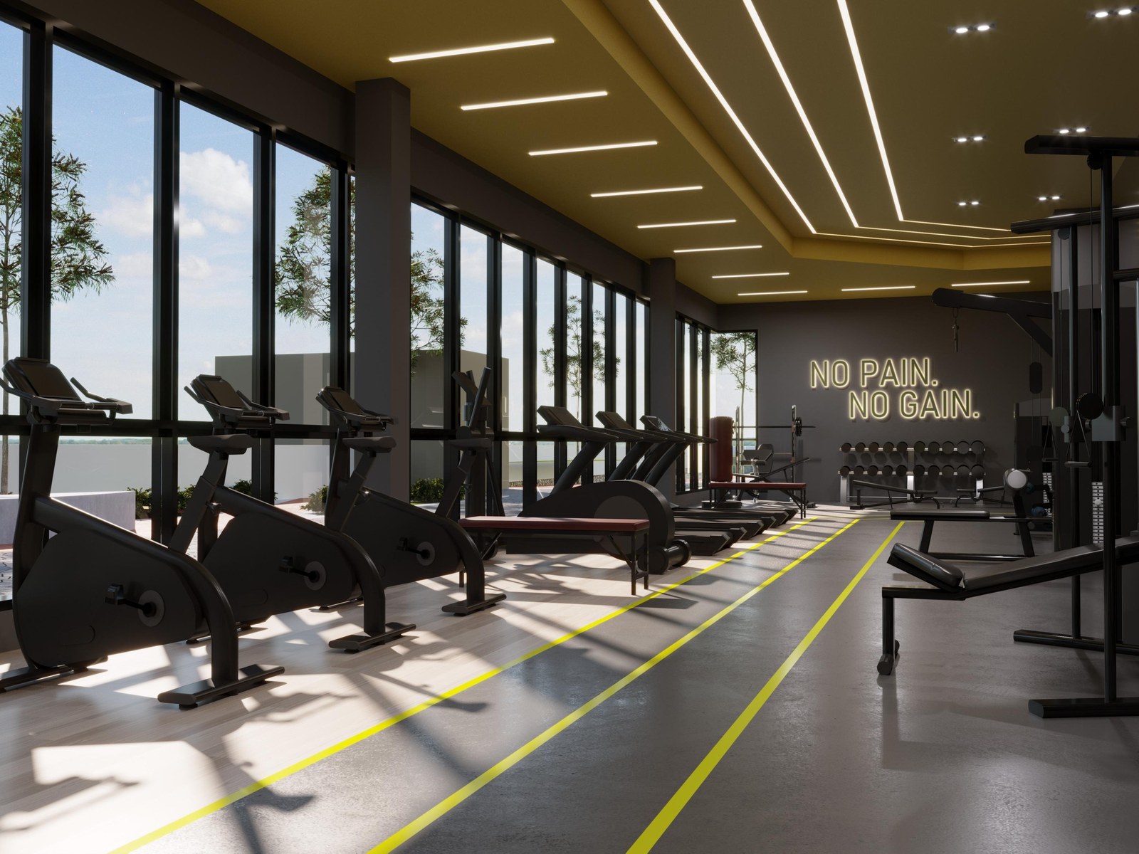 Gymnasium