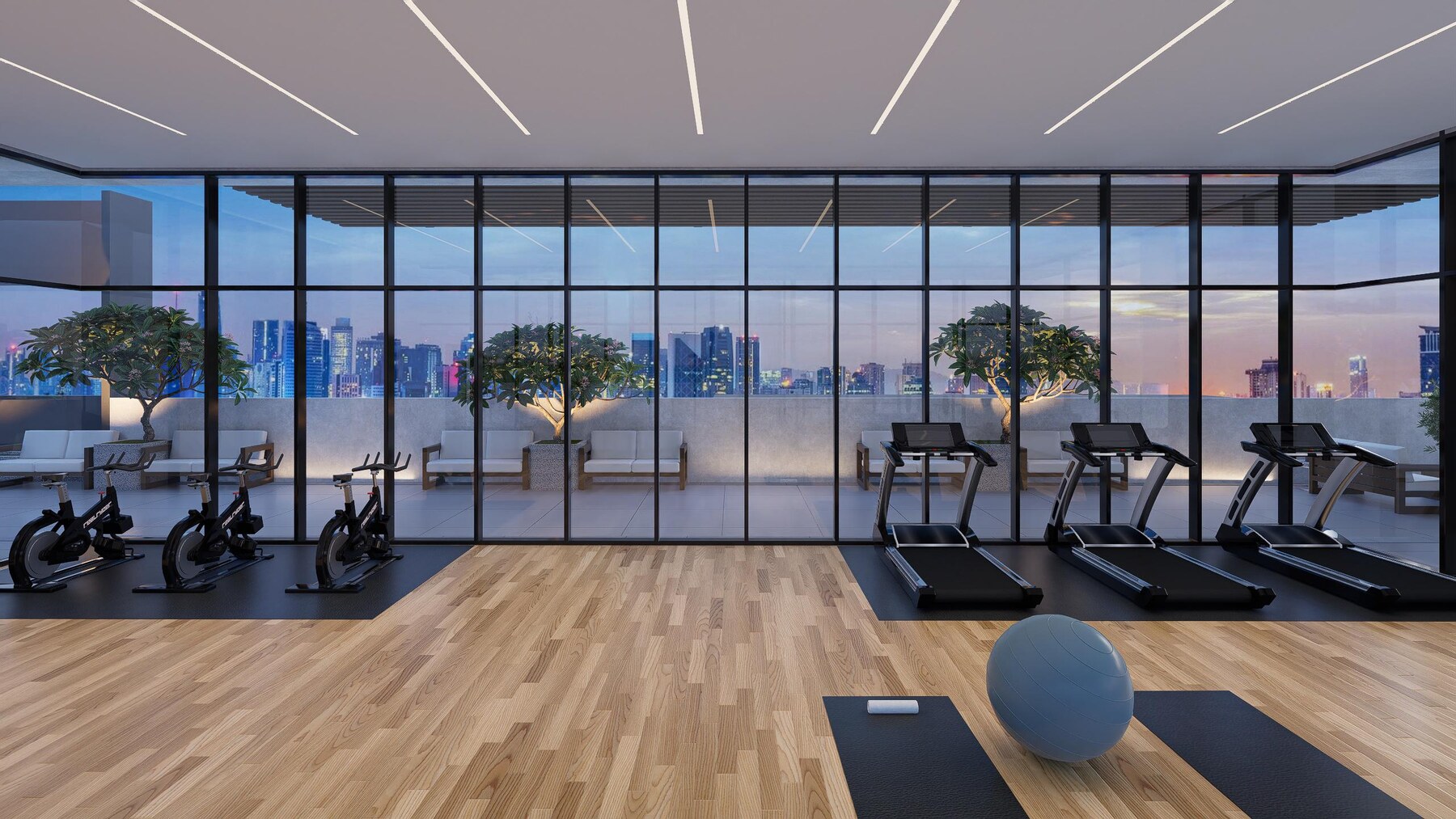 Horizon gym