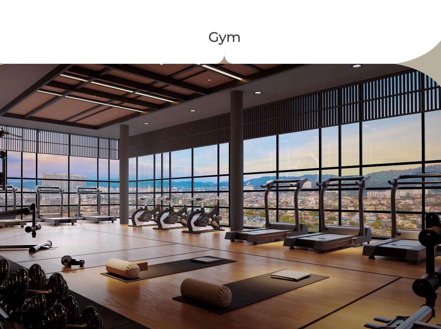 Gym and wellness space